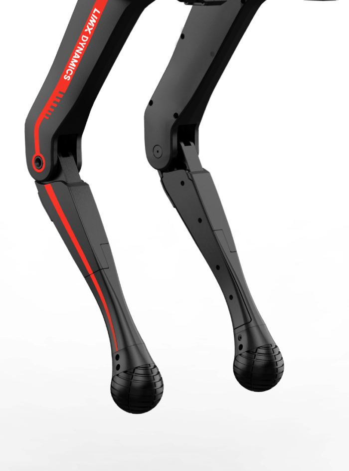 Point-Foot configuration