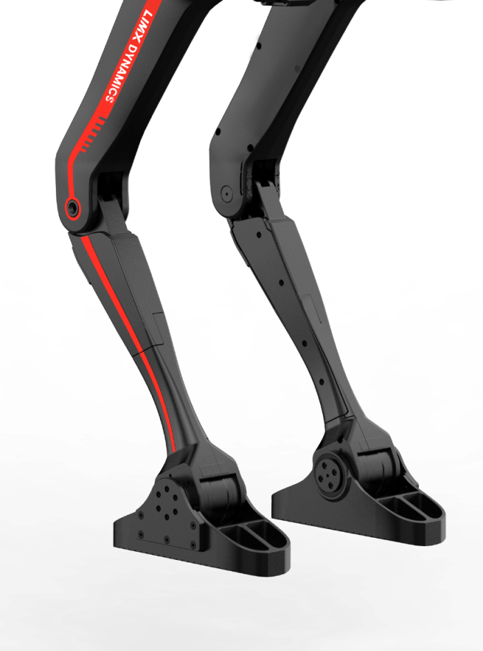 Sole (Bipedal) configuration